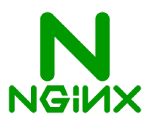 nginx logo